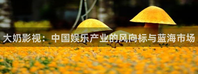 亚洲国产精品嫩草影院久久